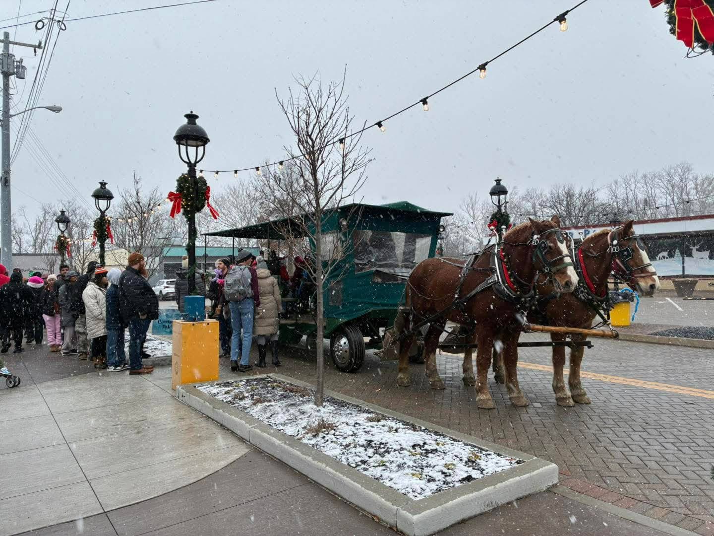 Group enjoying horse-drawn carriage pub crawl in Harrison Ohio