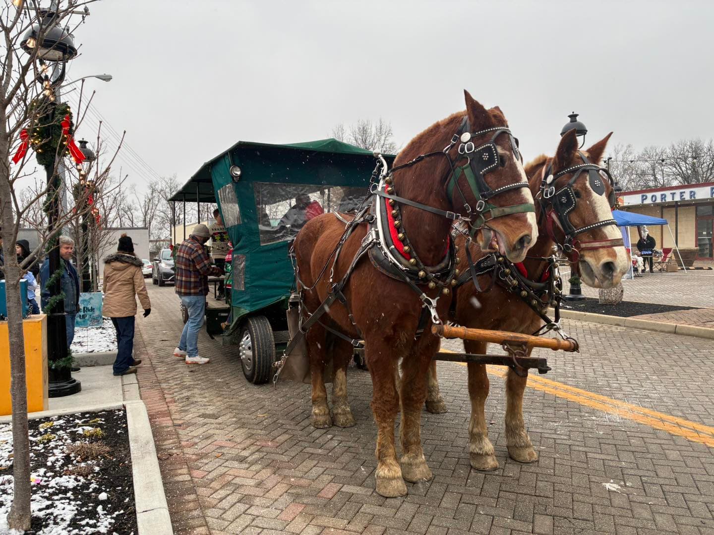 Horse drawn carriage at fair or festival